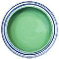 Capability Green Chalk Paint by Annie Sloan