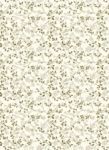 PAPEL ROSSI