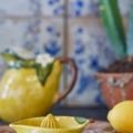 Exprimidor de limones