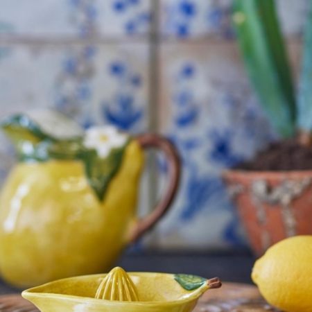 Exprimidor de limones
