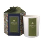 Vela Winter Glow